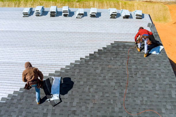 Best Roof Moss and Algae Removal  in Amity Gardens, PA